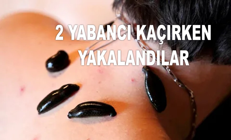 5 BİN CANLI SÜLÜĞÜ YURT DIŞINA KAÇIRACAKLARDI