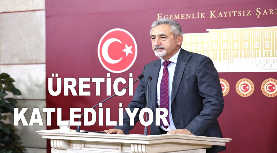 ADIGÜZEL: FINDIK COĞRAFYASINDA TERÖR KOL GEZİYOR