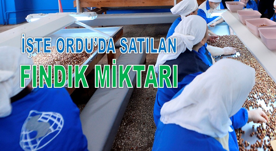 BORSALARDA 174 BİN TON FINDIK İŞLEM GÖRDÜ!