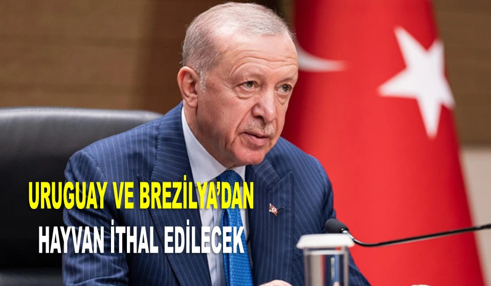 CUMHURBAŞKANI ERDOĞAN'DAN ET FİYATLARI İÇİN TALİMAT