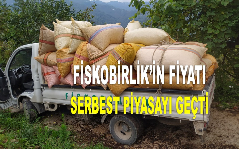 FİSKOBİRLİK ORDU'DA FINDIK FİYATINI 2 LİRA YÜKSELTTİ