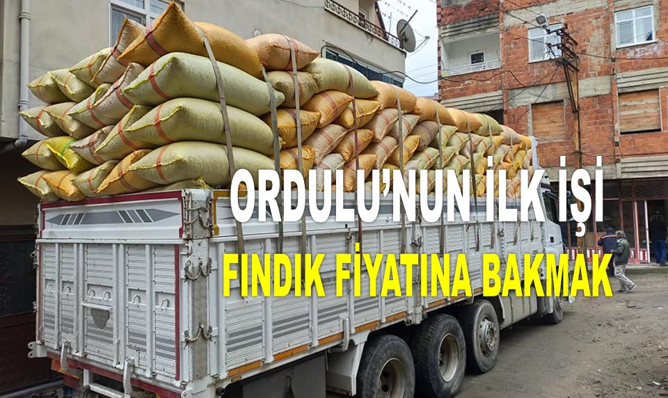 İŞTE 24 EKİM PERŞEMBE ORDU'DA FINDIK FİYATI!