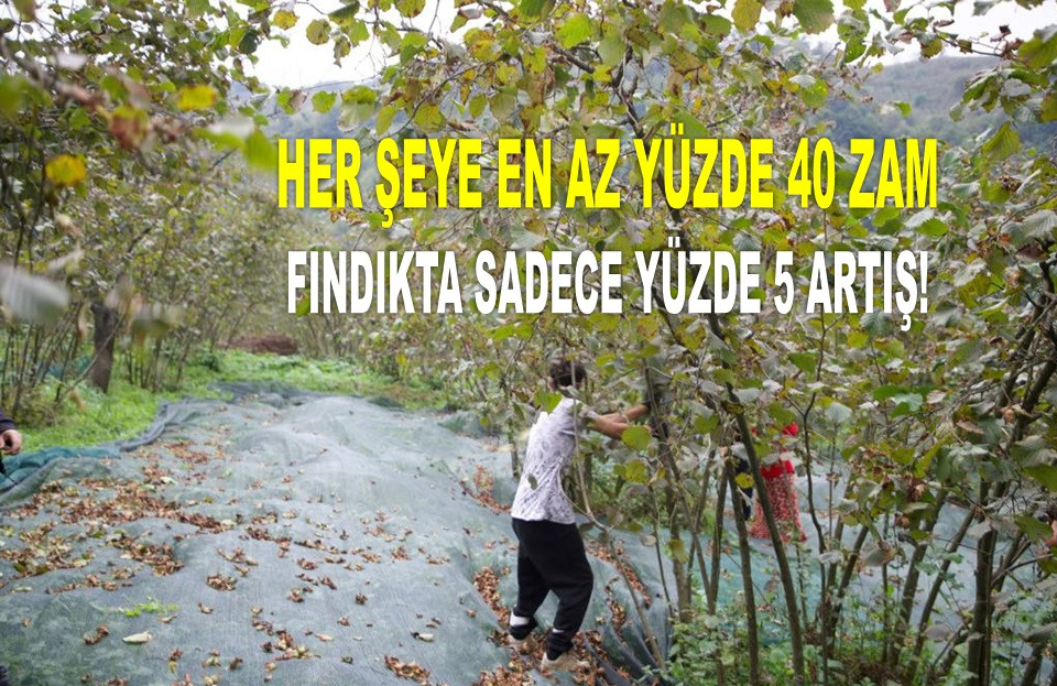 İŞTE ORDU'DA 20 OCAK PAZARTESİ FINDIK FİYATI!