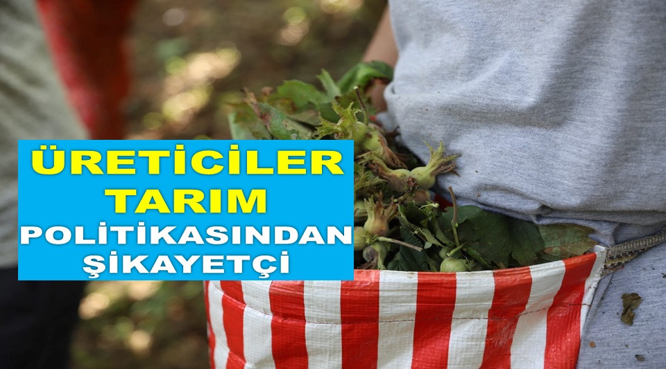 İŞTE ORDU'DA 28 ARALIK CUMARTESİ FINDIK FİYATI!