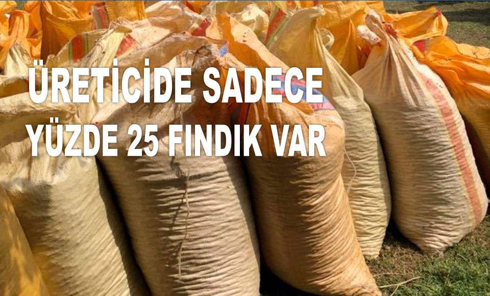 İŞTE ORDU'DA 29 ARALIK PAZAR FINDIK FİYATI!