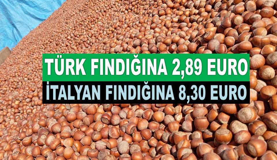 İTALYA FINDIĞI VE TÜRK FINDIĞI ARASINDAKİ FARK 206 TL