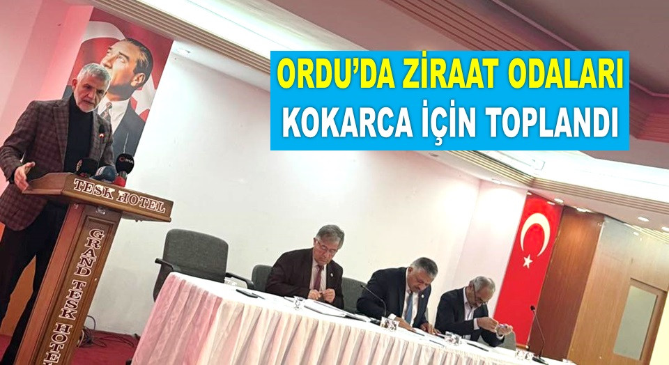 KOKARCA SADECE FINDIĞI DEĞİL TÜM TARIMI TEHDİT EDİYOR