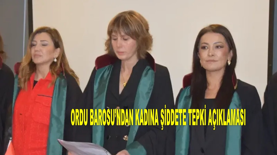 ORDU BAROSU: HER GÜN BİR KADININ ŞİDDETE UĞRADIĞINI GÖRÜYORUZ