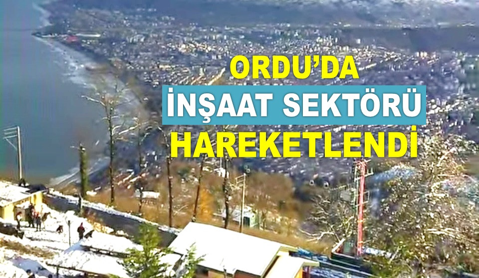 ORDU KONUT SATIŞINDA KARADENİZ'DE BİRİNCİ OLDU