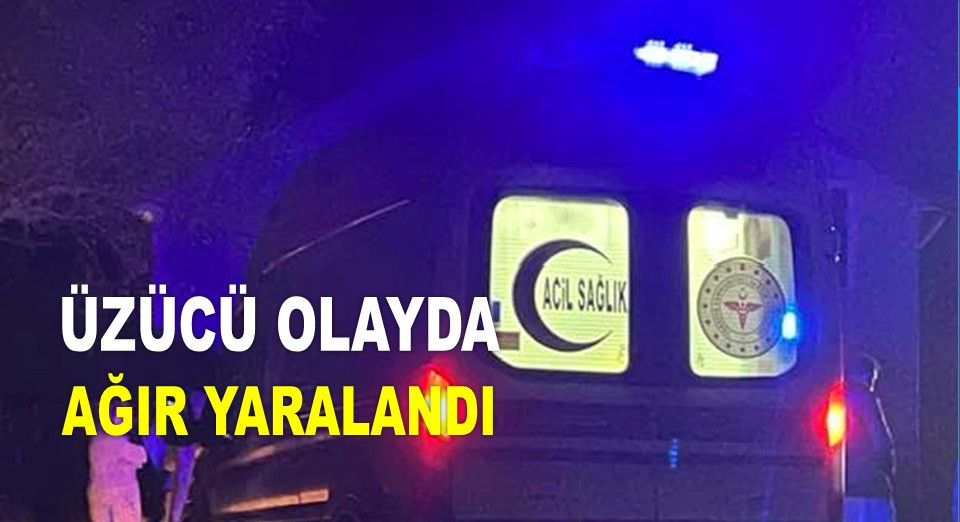 ORDU'DA AVDA YANLIŞLIKLA ARKADAŞINI VURDU