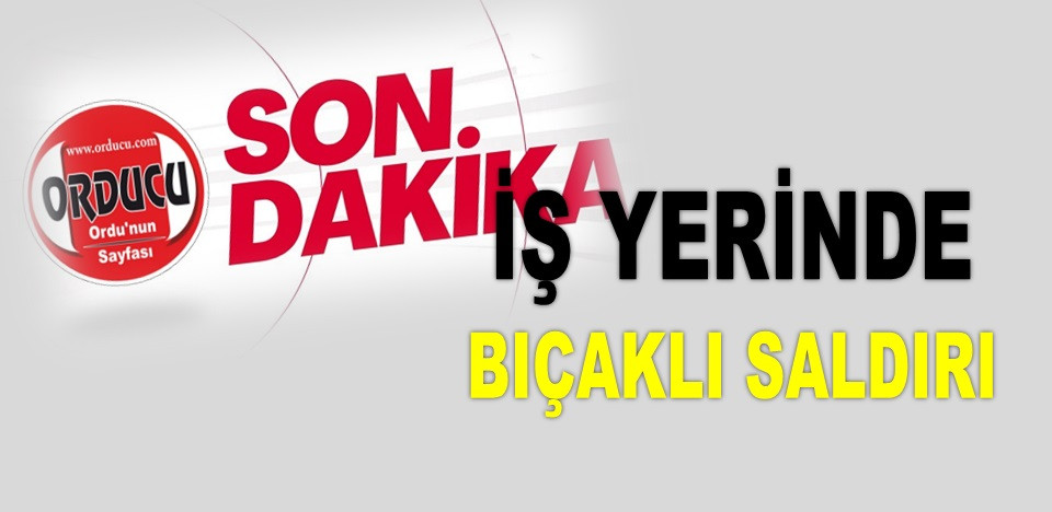 ORDU'DA BİR KADIN BAŞKA BİR KADINI BIÇAKLA YARALADI