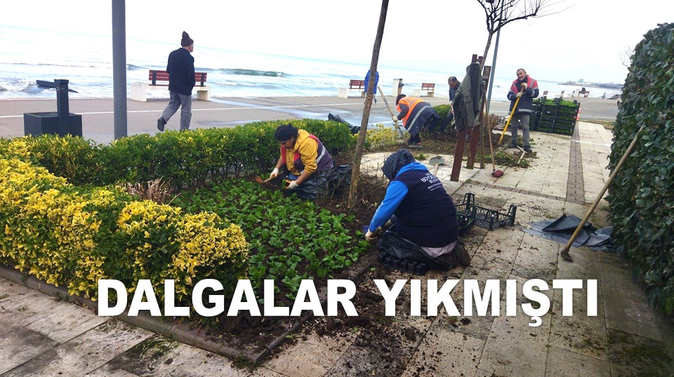 ORDU'DA DALGALARIN VERDİĞİ TAHRİBAT ONARILIYOR