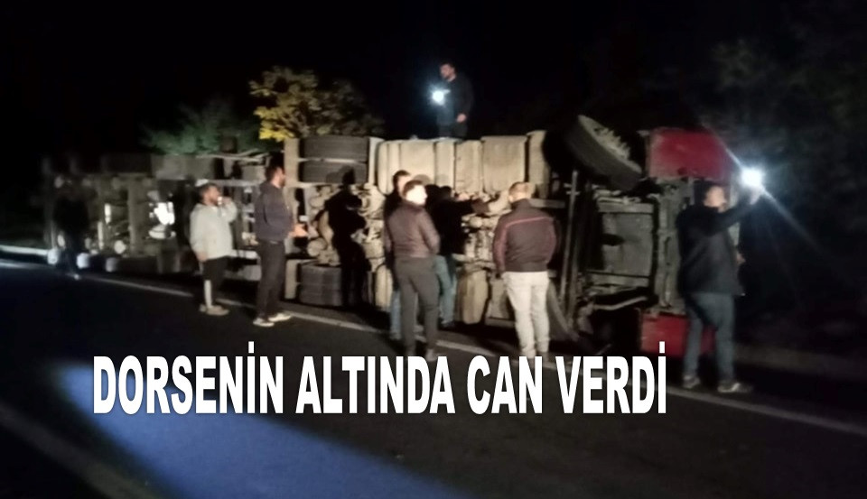 ORDU'DA DEVRİLEN TIRDA HAYATINI KAYBETTİ