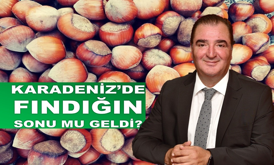 'ORDU'DA FINDIKTAN VAZGEÇİLMESİ ÇOK UZAK GÖRÜNMÜYOR'