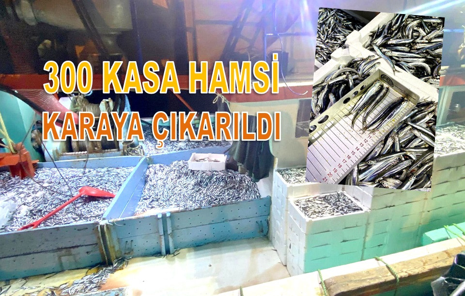 ORDU'DA HAMSİ DENETİMLERİ DEVAM EDİYOR