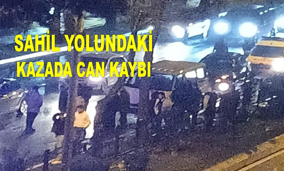 ORDU'DA MİNİBÜSÜN ÇARPTIĞI YAYA HAYATINI KAYBETTİ