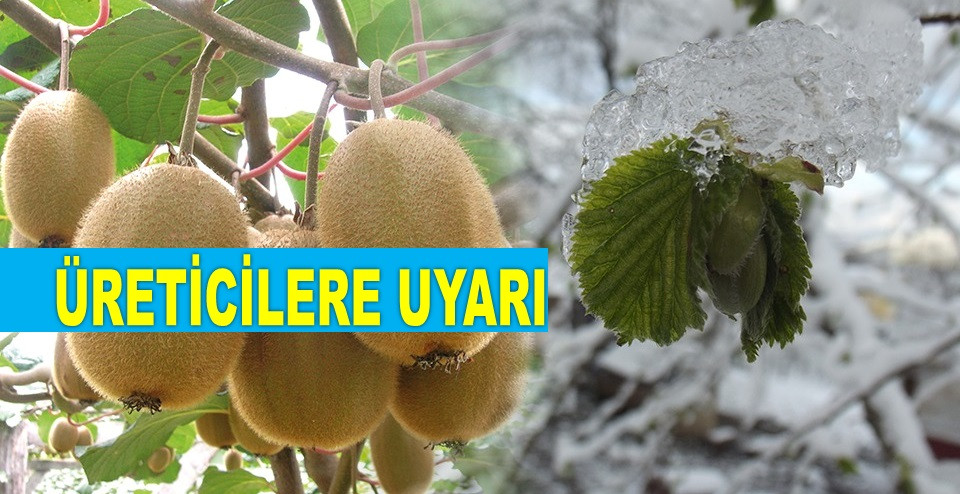 ORDU'DA ÜRETİCİLERE 40 MİLYON TL ÖDEME YAPILDI