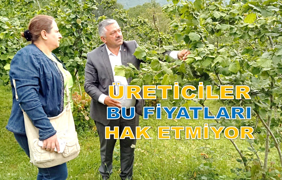 ŞU AYDA FINDIK FİYATI 150 TL OLMASI GEREKİRDİ!